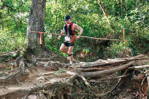 BIB: 
                            <button type="button" onclick="openModal(27555161)" class="btn btn-primary btn-sm float-right btn-popup" data-toggle="modal" data-target=".modal-high-quality">
                        <i class="fas fa-shopping-cart"></i> Add to Cart
                    </button>
                                            <button type="button" onclick="isThisMe(27555161, true)" class="btn btn-success btn-sm float-right btn-popup btn-isme hidden" data-toggle="tooltip" data-placement="bottom" title="นี่คือรูปของคุณใช่ไหม คลิกที่นี่เพื่อเอาเข้าอัลบั้ม">
                        <i class="fas fa-plus"></i> Add to album
                    </button>
                    <button type="button" onclick="isThisMe(27555161, false)" class="btn btn-warning btn-sm float-right btn-popup btn-isnotme hidden">
                        <i class="fas fa-ban"></i> Remove from album
                    </button>